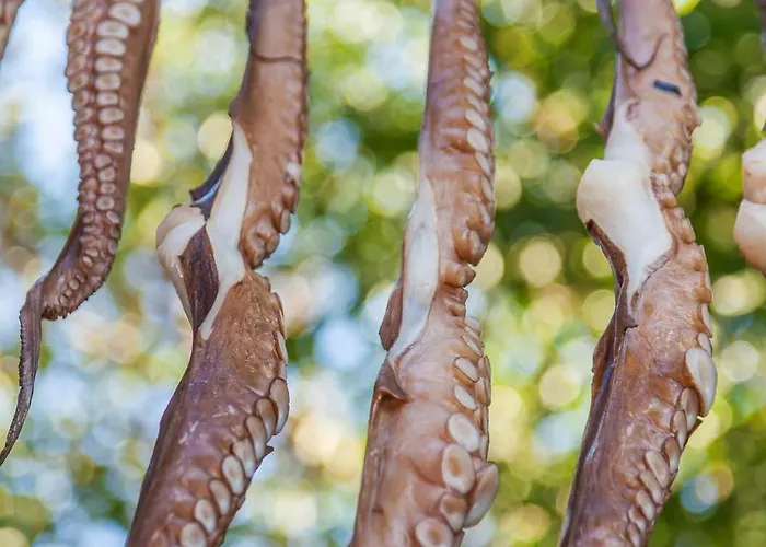 别墅 Sensational Santorini 1 Bedroom Grace Private Pool