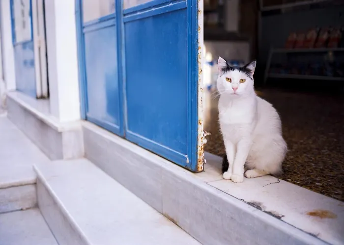 Sensational Santorini 1 Bedroom Grace Private Pool * Oia